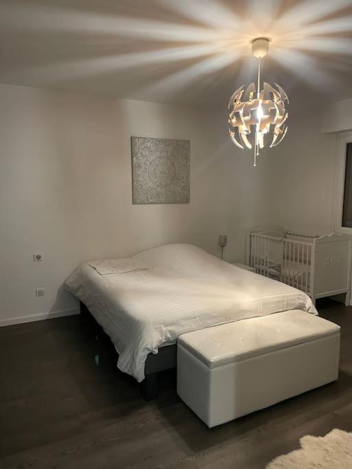 Appartement Cosy Strasbourg Schiltigheim Εξωτερικό φωτογραφία