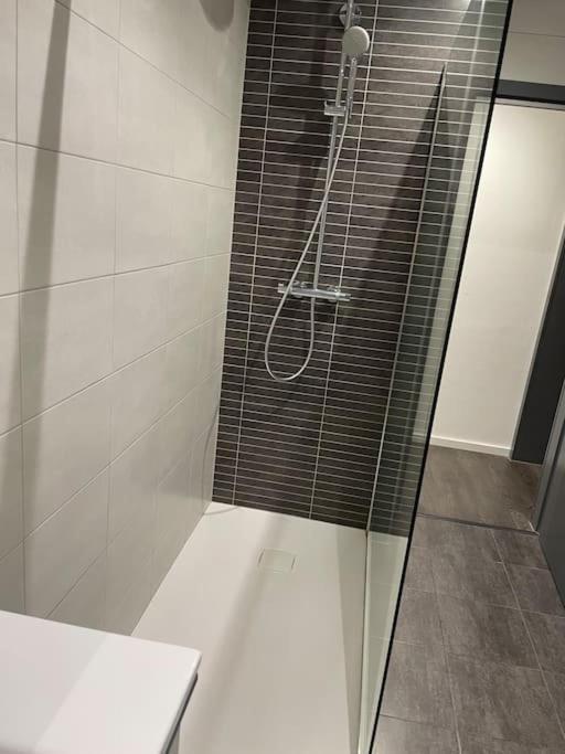Appartement Cosy Strasbourg Schiltigheim Εξωτερικό φωτογραφία